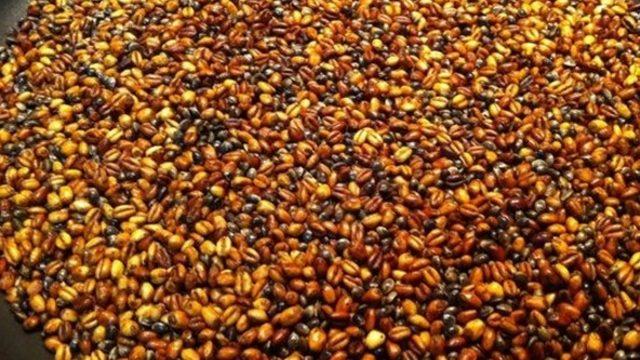 Anadolu’nun sağlık mucizesi