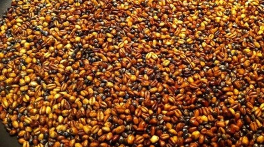 Anadolu’nun sağlık mucizesi