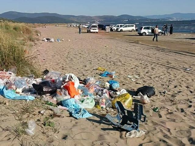 Pamucak sahilindeki kıyı kumulları tehlikede