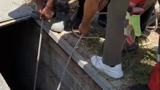Son dakika: Havalandırma boşluğuna d&uuml;şen eşek kurtarıldı