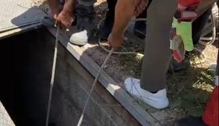 Havalandırma boşluğuna d&uuml;şen eşek kurtarıldı