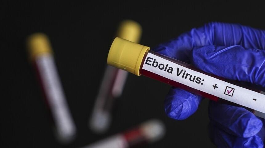 Nijerya, Ebola tehdidi nedeniyle 10 eyaleti alarm durumuna ge&ccedil;irdi