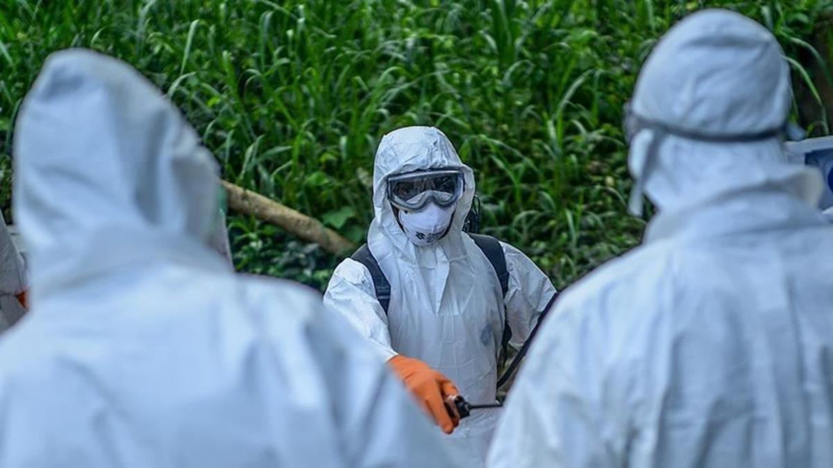 Nijerya, Ebola tehdidi nedeniyle 10 eyaleti alarm durumuna ge&ccedil;irdi 1