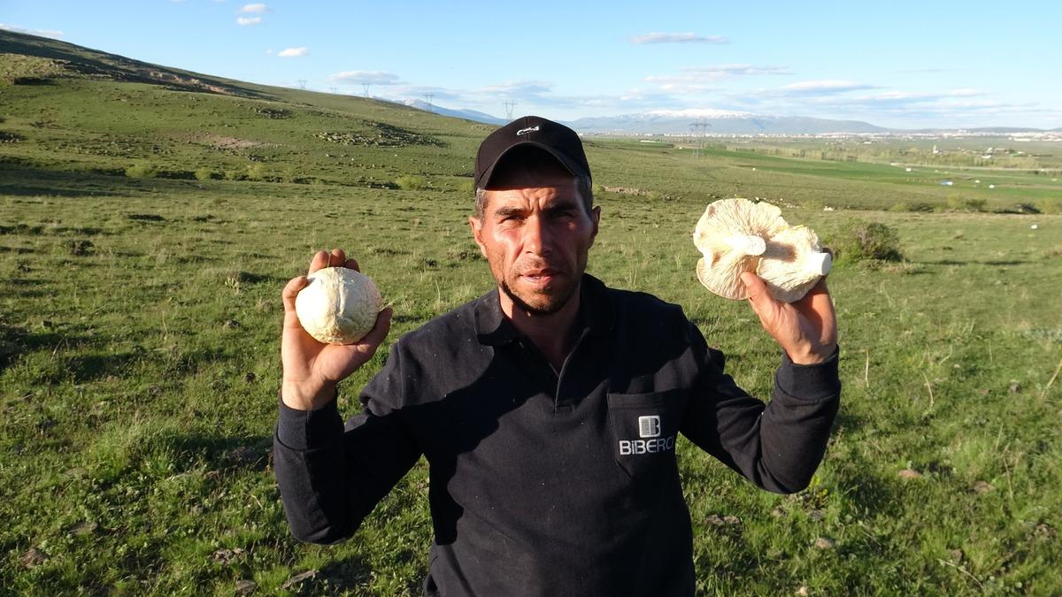 Sepetini alan oraya koştu: Doğada yetişiyor, kilosu 300 lira 4