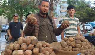 G&ouml;r&uuml;nt&uuml;s&uuml; patates lezzeti mantar gibi! Kilosu 2 bin liradan kapış kapış gidiyor