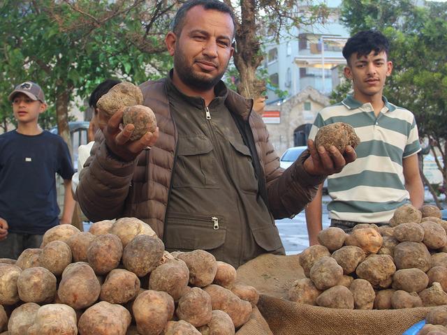 G&ouml;r&uuml;nt&uuml;s&uuml; patates lezzeti mantar gibi! Kilosu 2 bin liradan kapış kapış gidiyor
