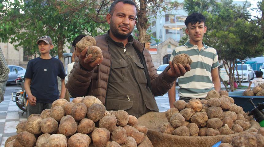 G&ouml;r&uuml;nt&uuml;s&uuml; patates lezzeti mantar gibi! Kilosu 2 bin liradan kapış kapış gidiyor