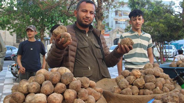 Görüntüsü patates lezzeti mantar gibi! Kilosu 2 bin liradan kapış kapış gidiyor