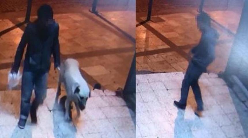 Böyle vahşet görülmedi! 