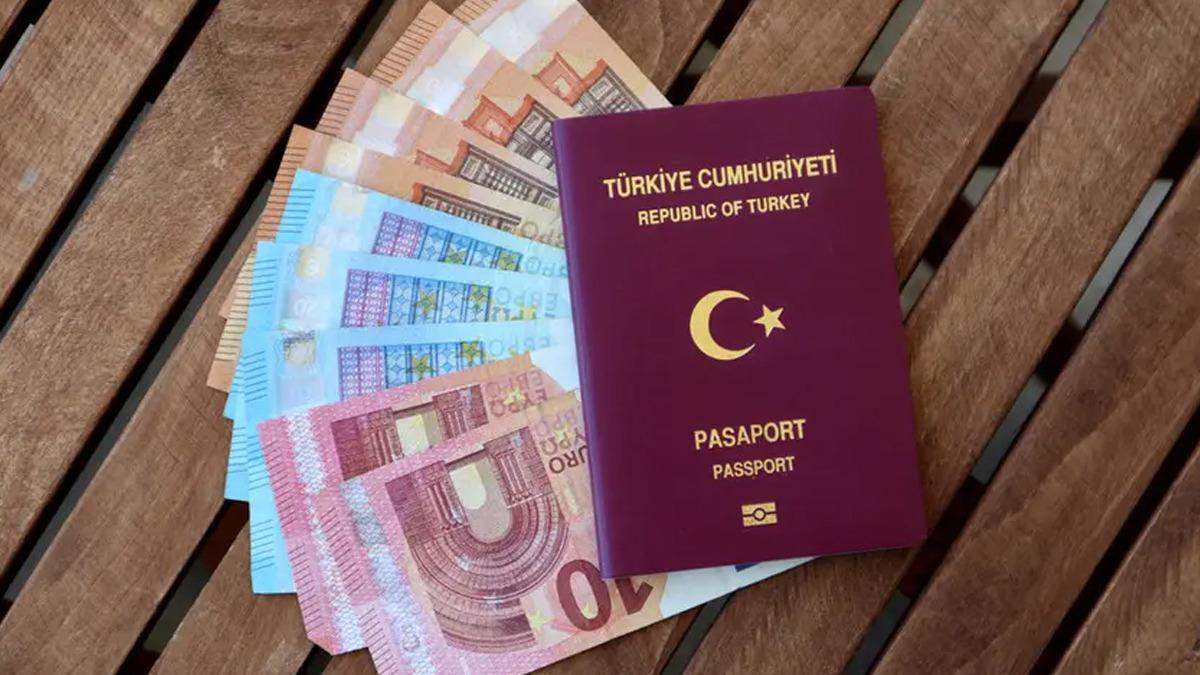 Bakanlık vize problemiyle ilgili harekete ge&ccedil;ti! 7 şirkete inceleme başlatıldı 2