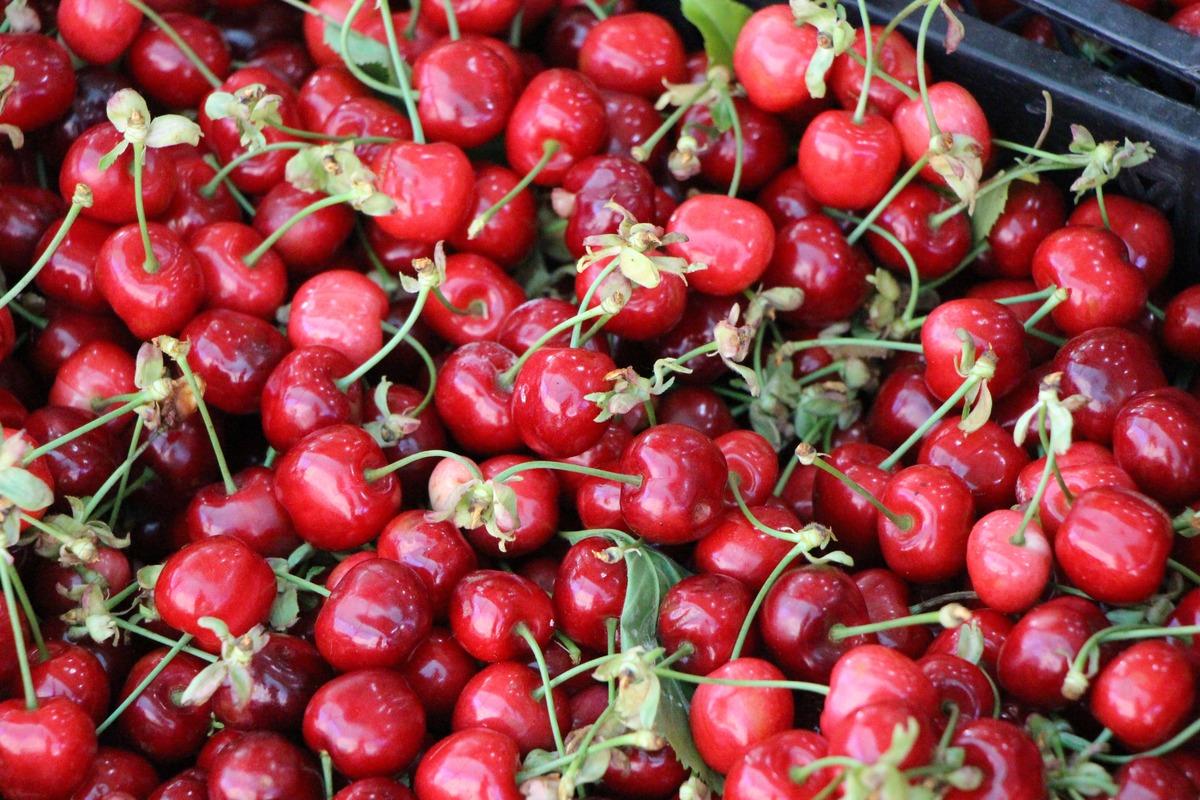 Ge&ccedil;en yıl tek bir tane bile yoktu! Bu yıl kilosu 100 TL den satışta 1