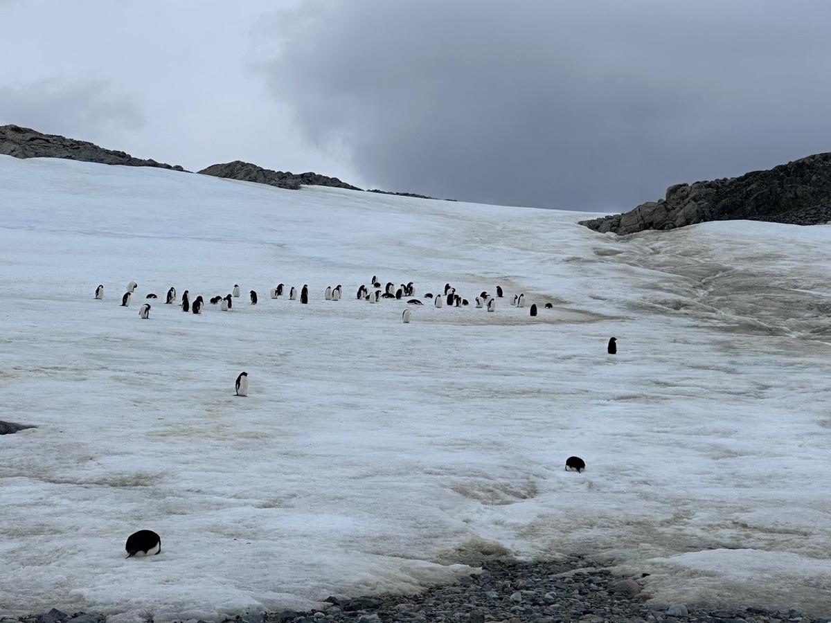 Korkutan k&uuml;resel tablo: Yılda 10 metre eriyor! Nedeni a&ccedil;ıklandı 3