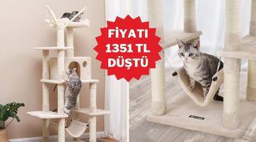 Kedinizin yeni favori k&ouml;şesi tırmalama ağacında indirim başladı!