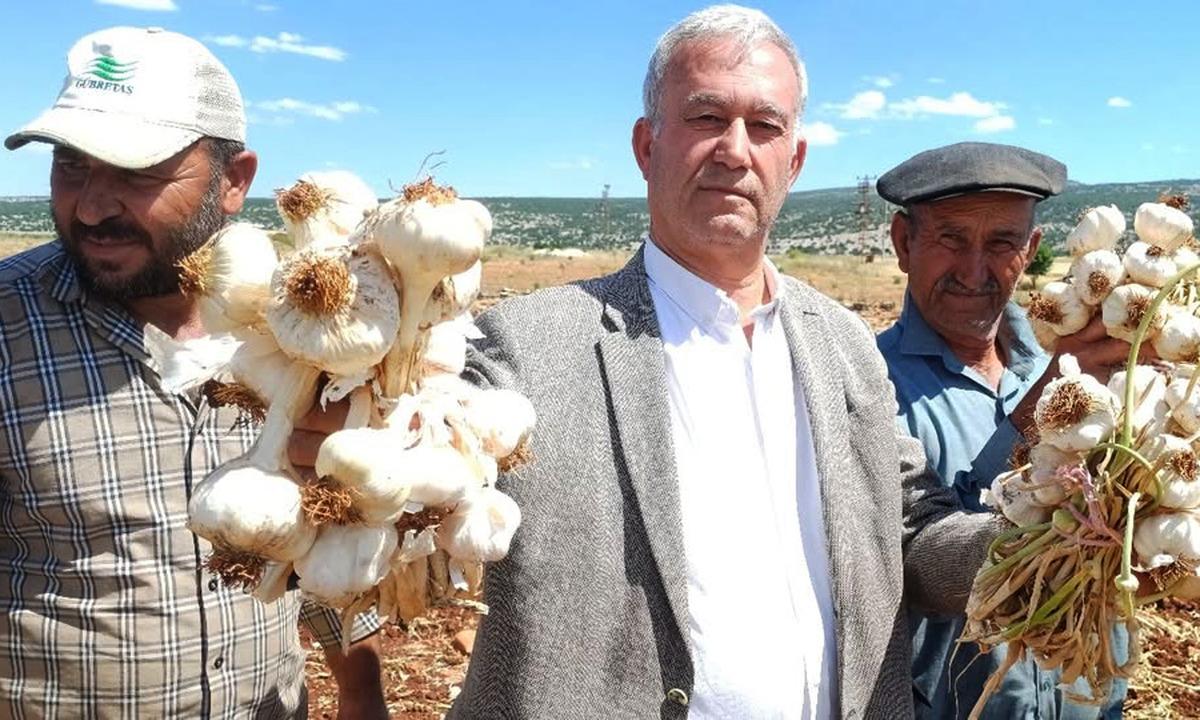 D&uuml;nyanın en iyileri arasında g&ouml;steriliyordu! 2026 hasadı başladı 1
