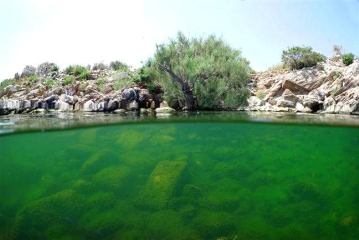 Bafa Gölü uzmanları şaşırttı: 'Bu kadarını ben bile beklemezdim' G2