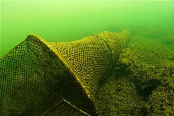 Bafa Gölü uzmanları şaşırttı: 'Bu kadarını ben bile beklemezdim' G5