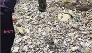 Yatak ve halıların arasına saklanan yılanı itfaiye buldu