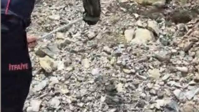 Yatak ve halıların arasına saklanan yılanı itfaiye buldu