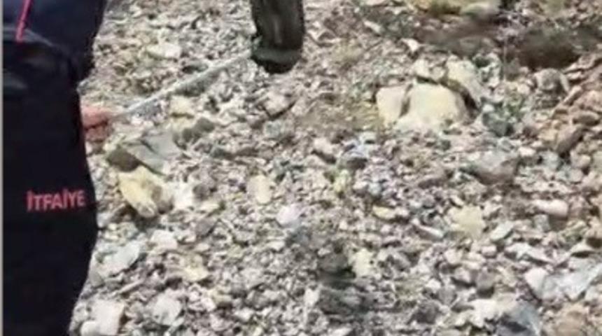 Yatak ve halıların arasına saklanan yılanı itfaiye buldu