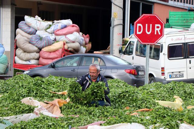 Hasat için acele eden üretici, çayını satmakta zorlanıyor 2