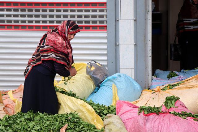 Hasat için acele eden üretici, çayını satmakta zorlanıyor 3