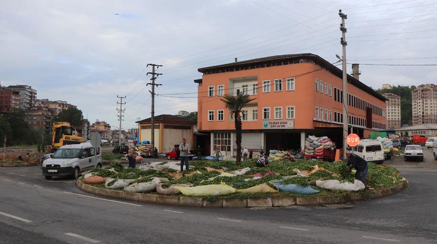 Hasat için acele eden üretici, çayını satmakta zorlanıyor