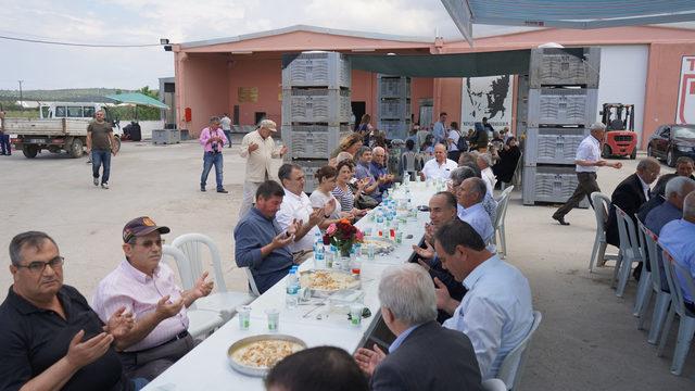 Zeytin üreticisi teşviklerin artırılmasını istiyor 1