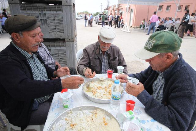 Zeytin üreticisi teşviklerin artırılmasını istiyor 2