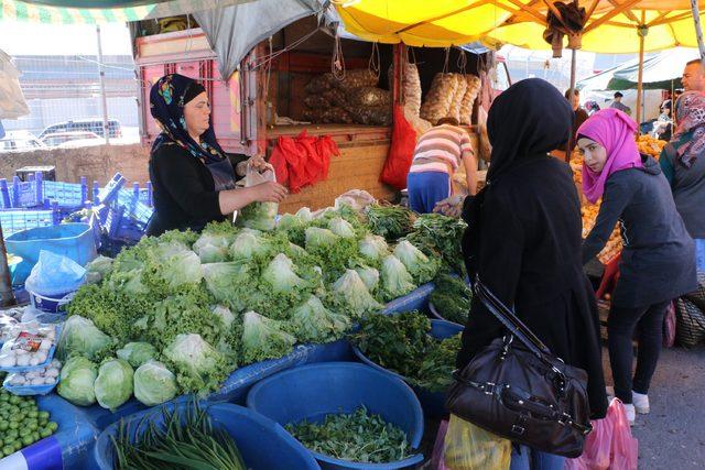 Kadın pazarcı, bağımsız milletvekili adayı oldu