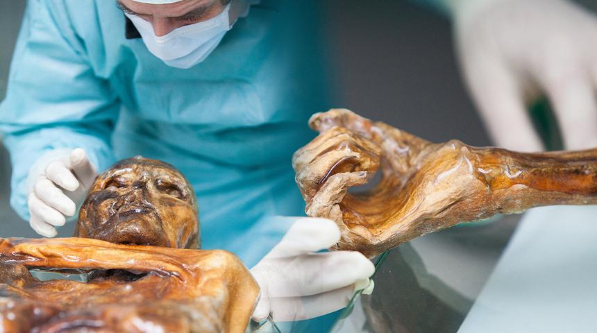 Bilim insanları 5.300 yıllık mumyadan ekşi mayalı ekmek yaptı!