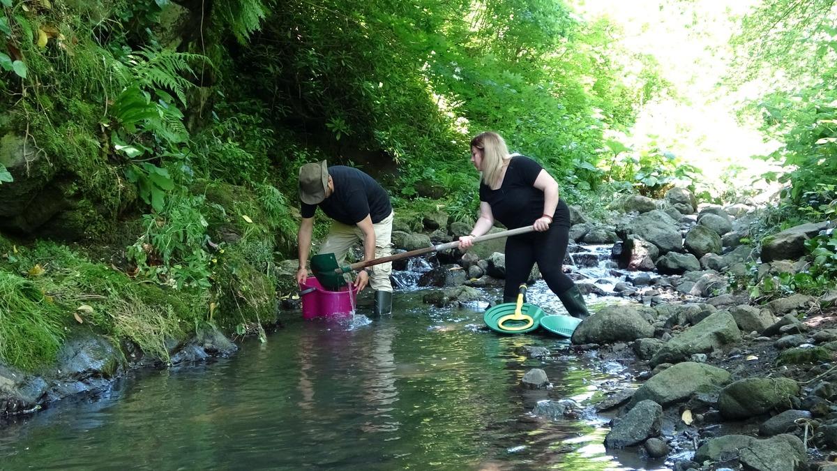 Ordu nun derelerinde altın peşindeler! Hobileri gelir kapısı oldu 4