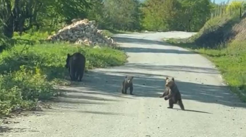 Kardeşlerin anne ayı ve yavruları ile sohbeti g&uuml;l&uuml;msetti