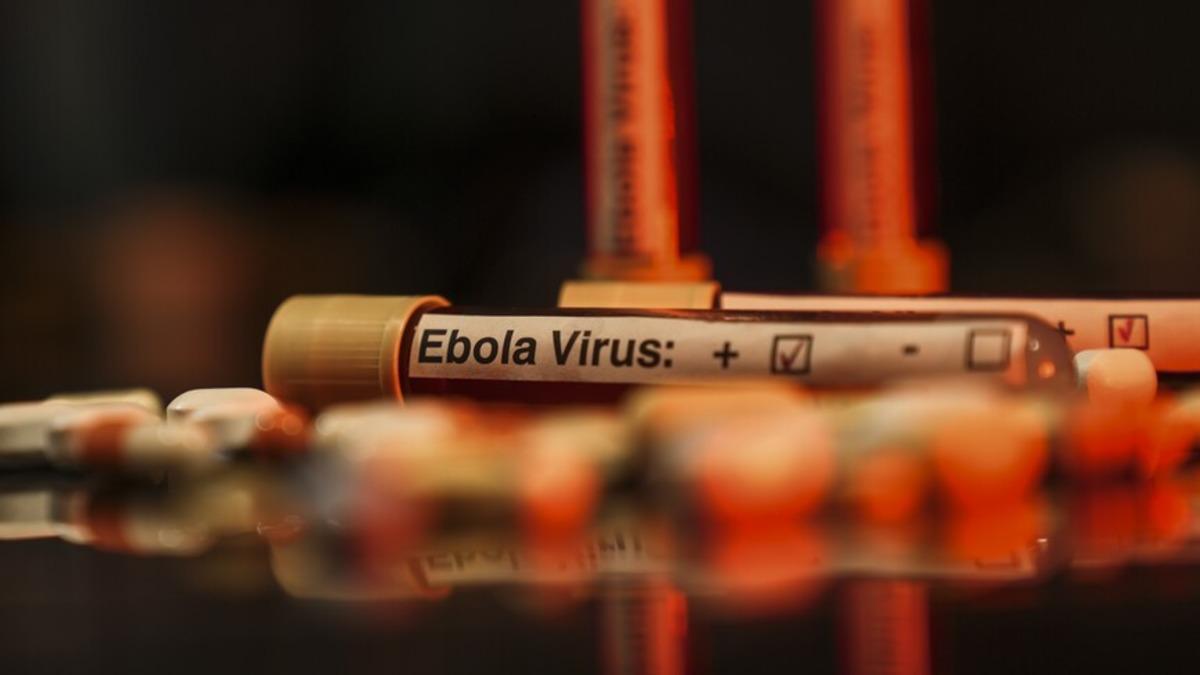 D&uuml;nya alarmda: Vakalar 20 bini aşabilir! Ebola salgını kontrolden &ccedil;ıktı mı?  1