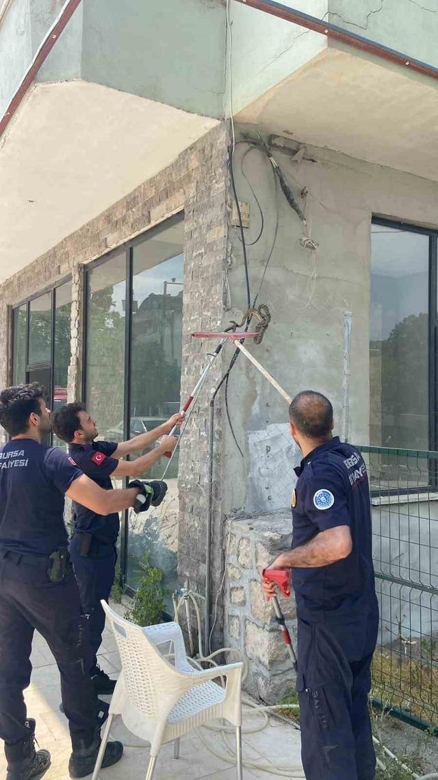 Bursa&rsquo;da iş yerine giren yılan paniğe neden oldu 1