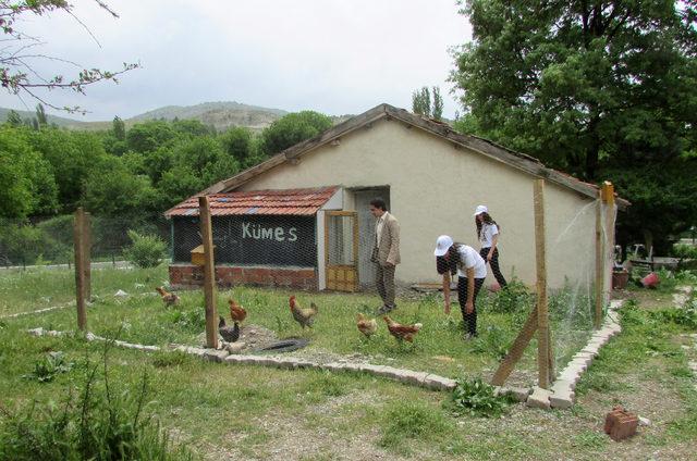 Bahçede ders işliyor, kümeste tavuk ve ördek yetiştiriyorlar