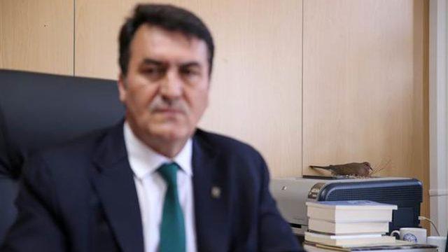 Makam odasında ilginç görüntü! Görenler önce biblo sanıyor