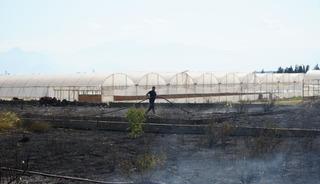 Antalya'da sera ve evleri tehdit eden yangın mahalleliyi korkuttu