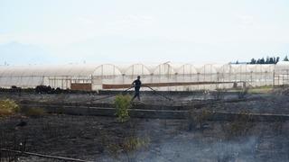 Antalya'da sera ve evleri tehdit eden yangın mahalleliyi korkuttu