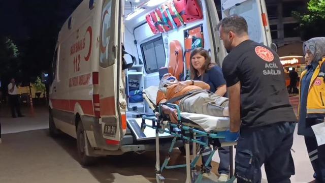 Erik toplamak için çıktığı ağaçtan düşerek yaralandı
