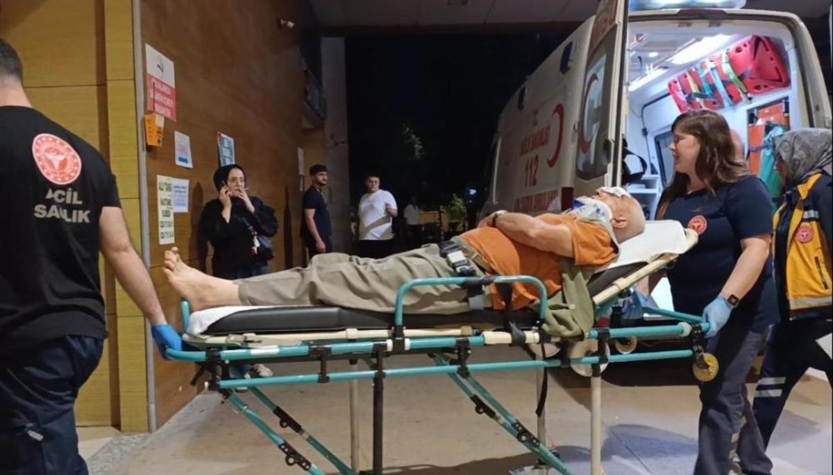 Erik toplamak için çıktığı ağaçtan düşerek yaralandı 1