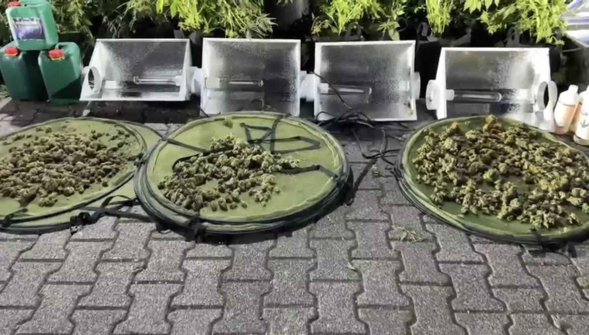 Yoğun koku üzerine harekete geçildi! Ekipler bile şaşkına döndü: Tam 30 milyon lira değerinde... 5