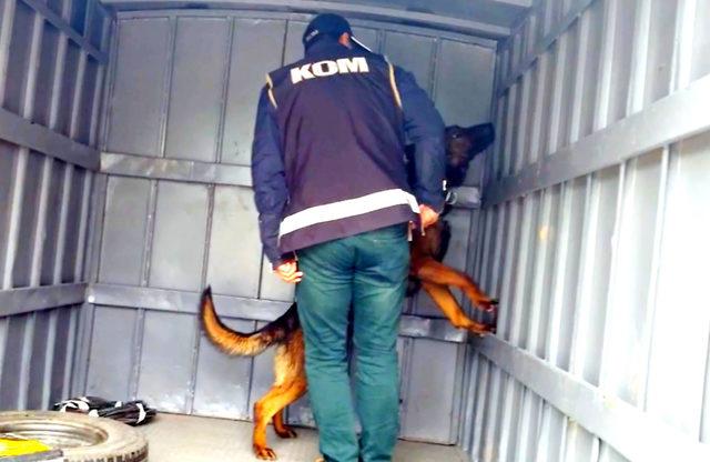 Kamyonet zulasındaki kaçak sigarayı eğitimli köpek buldu