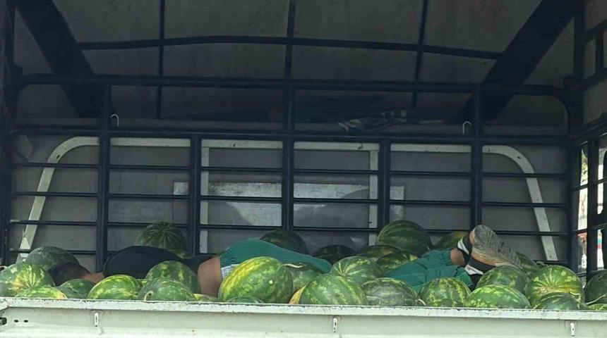 Adana'da karpuzlar arasındaki uyku g&ouml;renleri g&uuml;l&uuml;msetti