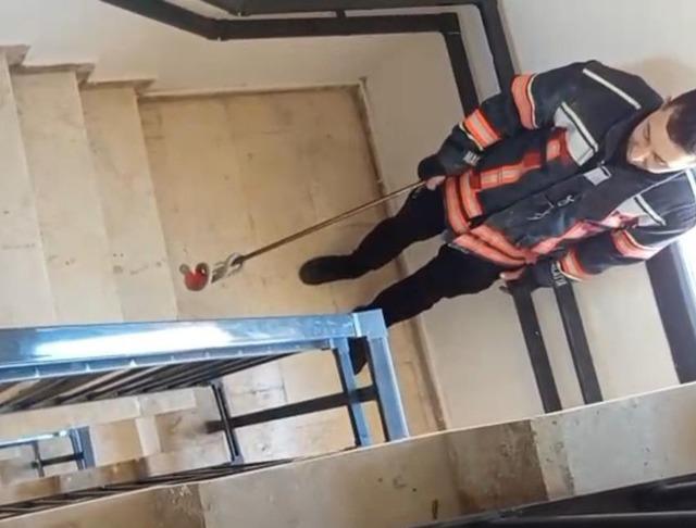 Apartmana giren yılan paniğe neden oldu 2