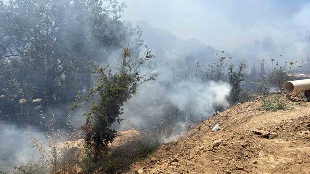 Bodrum’da çıkan yangın büyümeden söndürüldü 2