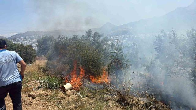 Bodrum’da çıkan yangın büyümeden söndürüldü 1