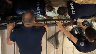 Merdiven boşluğuna sıkışan kedi merdiven ve fayans kırılarak kurtarıldı
