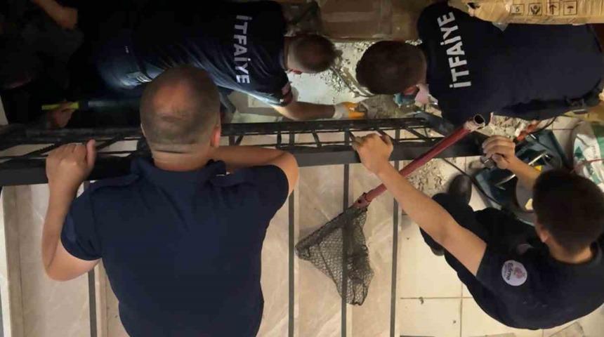 Merdiven boşluğuna sıkışan kedi merdiven ve fayans kırılarak kurtarıldı