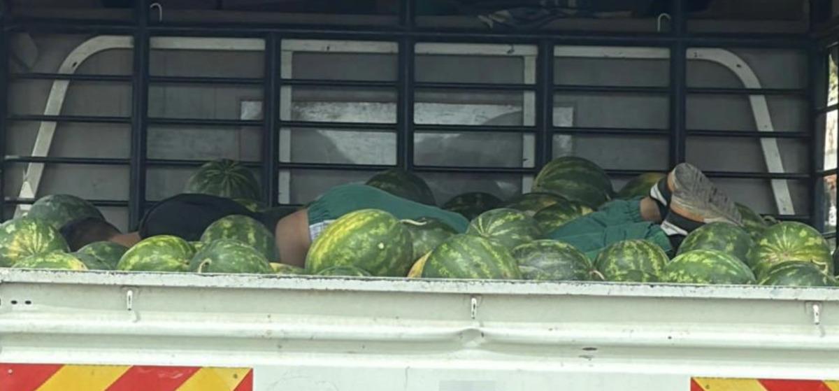 Adana da karpuzlar arasındaki uyku g&ouml;renleri g&uuml;l&uuml;msetti 1