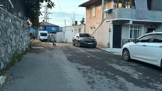 5 &ccedil;ocuk annesi eşini ulu orta katletti! Bı&ccedil;aklarken b&ouml;yle bağırmış 3